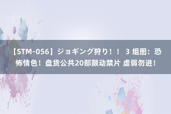 【STM-056】ジョギング狩り！！ 3 组图：恐怖情色！盘货公共20部颤动禁片 虚弱勿进！