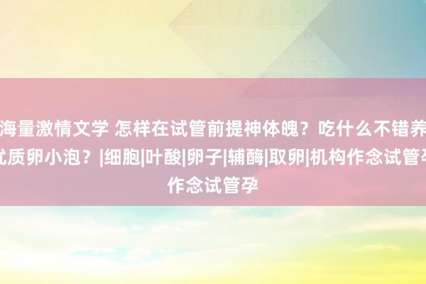 海量激情文学 怎样在试管前提神体魄？吃什么不错养优质卵小泡？|细胞|叶酸|卵子|辅酶|取卵|机构作念试管孕