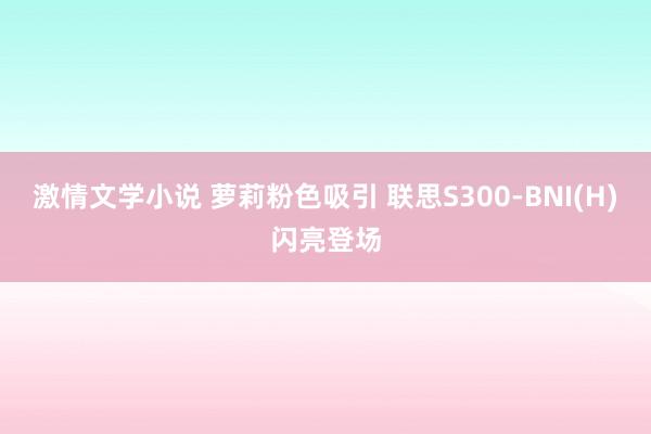 激情文学小说 萝莉粉色吸引 联思S300-BNI(H)闪亮登场