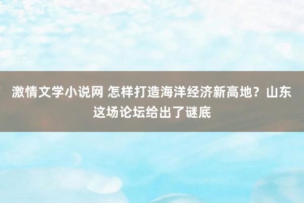 激情文学小说网 怎样打造海洋经济新高地？山东这场论坛给出了谜底