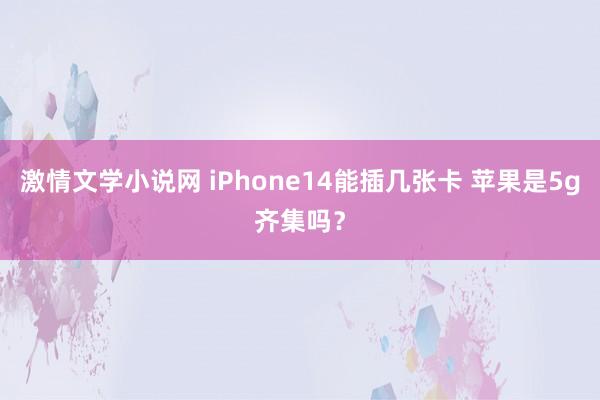 激情文学小说网 iPhone14能插几张卡 苹果是5g齐集吗？