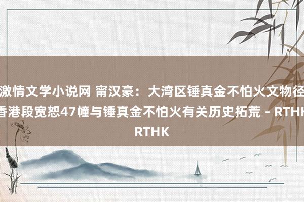 激情文学小说网 甯汉豪：大湾区锤真金不怕火文物径香港段宽恕47幢与锤真金不怕火有关历史拓荒 - RTHK