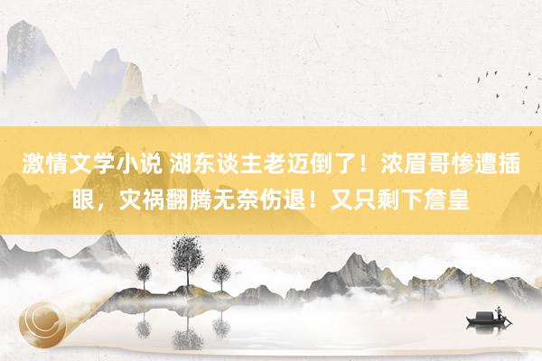 激情文学小说 湖东谈主老迈倒了！浓眉哥惨遭插眼，灾祸翻腾无奈伤退！又只剩下詹皇