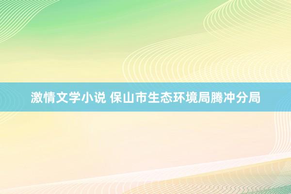 激情文学小说 保山市生态环境局腾冲分局