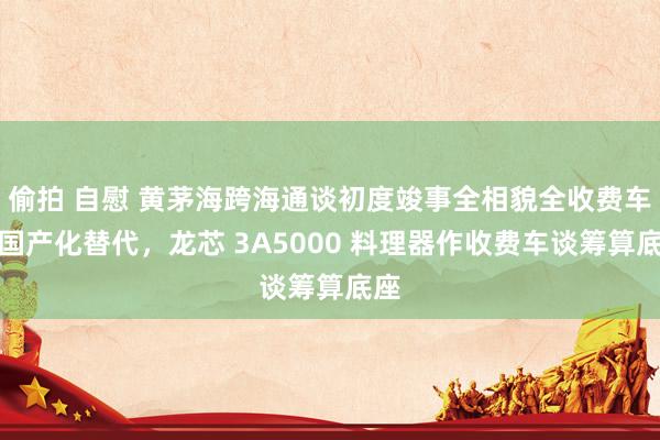 偷拍 自慰 黄茅海跨海通谈初度竣事全相貌全收费车谈国产化替代，龙芯 3A5000 料理器作收费车谈筹算底座