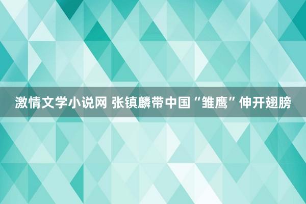 激情文学小说网 张镇麟带中国“雏鹰”伸开翅膀