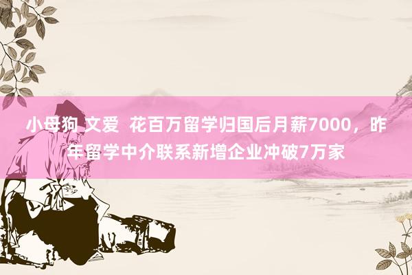 小母狗 文爱  花百万留学归国后月薪7000，昨年留学中介联系新增企业冲破7万家